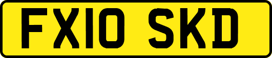 FX10SKD