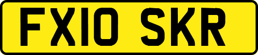 FX10SKR