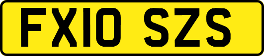 FX10SZS