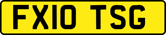 FX10TSG