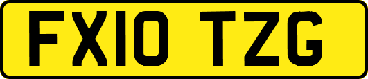FX10TZG