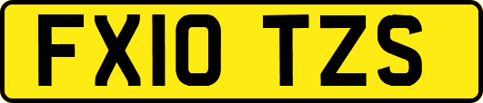 FX10TZS