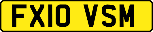 FX10VSM