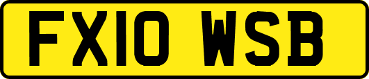FX10WSB