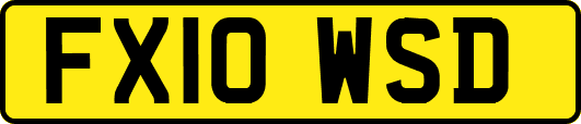 FX10WSD