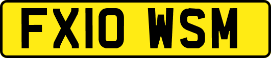 FX10WSM