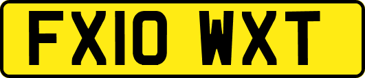 FX10WXT