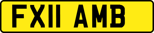 FX11AMB