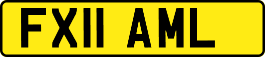 FX11AML