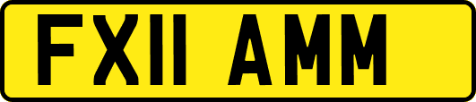 FX11AMM