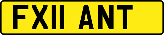 FX11ANT