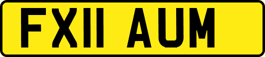 FX11AUM