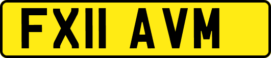FX11AVM
