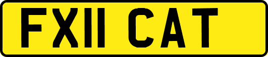 FX11CAT