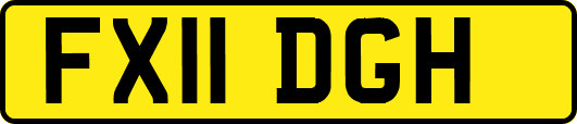 FX11DGH