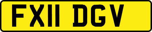 FX11DGV