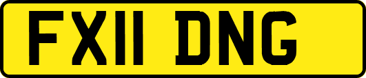 FX11DNG