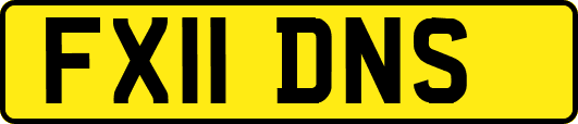 FX11DNS