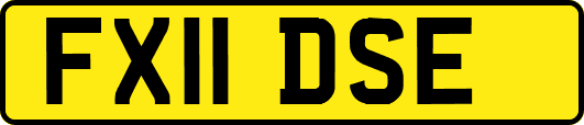 FX11DSE