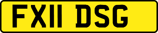 FX11DSG