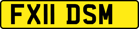 FX11DSM