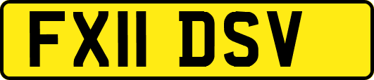 FX11DSV