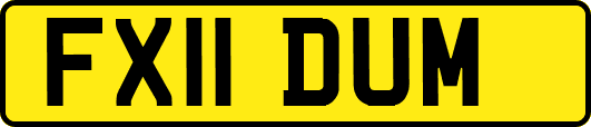 FX11DUM