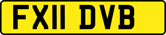 FX11DVB