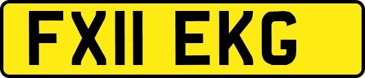 FX11EKG