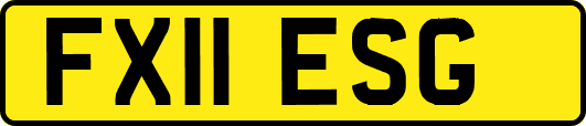 FX11ESG