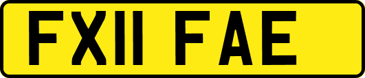 FX11FAE