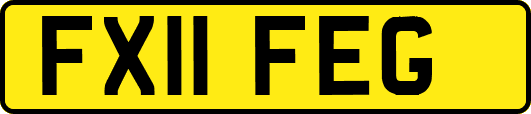 FX11FEG