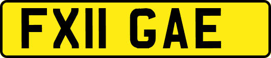 FX11GAE