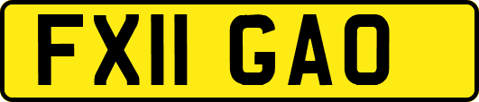 FX11GAO