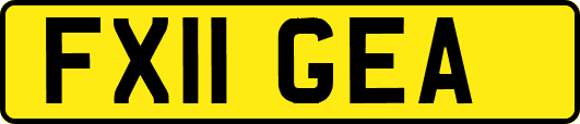 FX11GEA