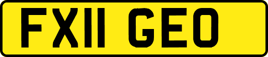 FX11GEO