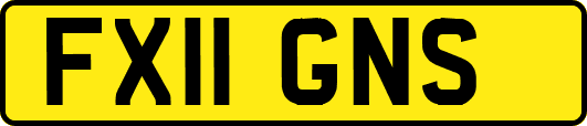 FX11GNS
