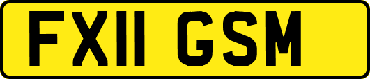 FX11GSM