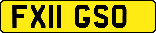 FX11GSO