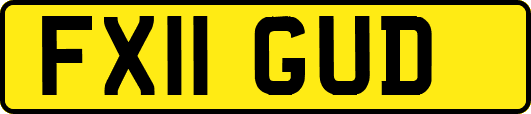 FX11GUD