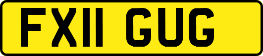 FX11GUG