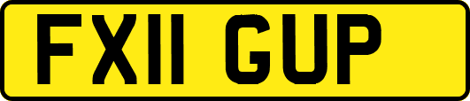 FX11GUP