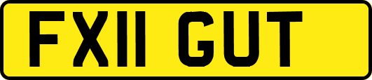 FX11GUT
