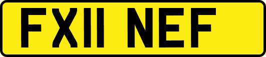 FX11NEF