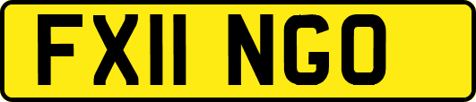 FX11NGO