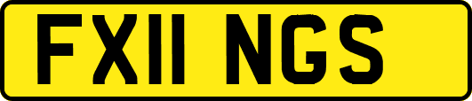 FX11NGS