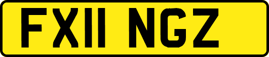 FX11NGZ