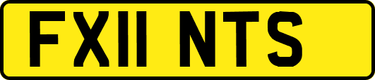 FX11NTS
