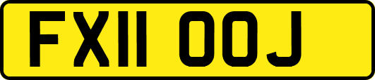FX11OOJ