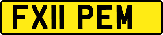 FX11PEM